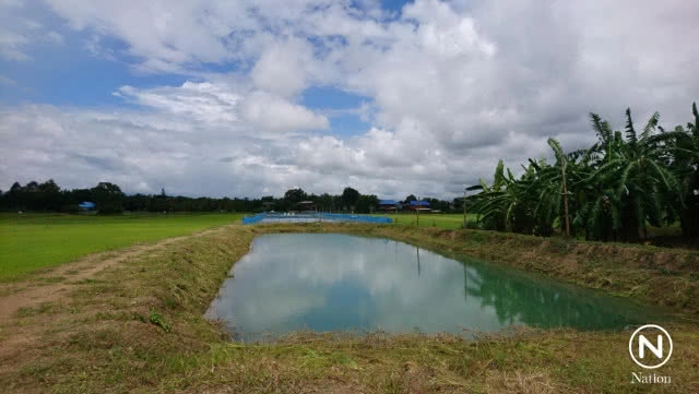 พลิกแปลงนาเป็นบ่อกุ้งก้ามกราม สร้างรายได้งาม
