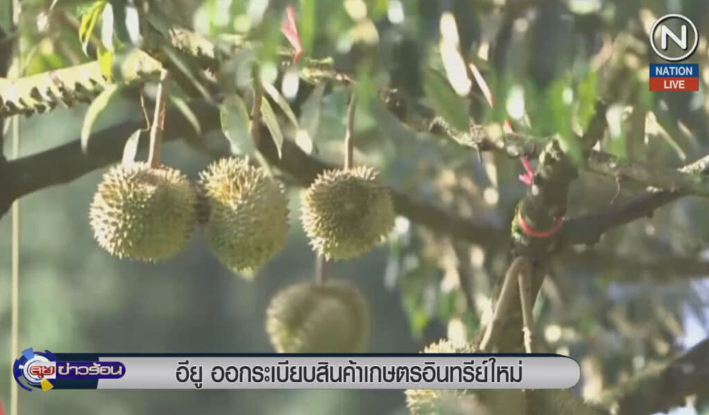 (คลิปข่าว) อียูออกระเบียบสินค้าเกษตรอินทรีย์ฉบับใหม่ (คลิปข่าว) อียูออกระเบียบสินค้าเกษตรอินทรีย์ฉบับใหม่
