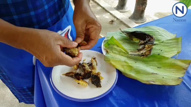 (คลิป) เปิดสูตรเด็ดผัดหมี่พิมายใส่ปลาย่าง