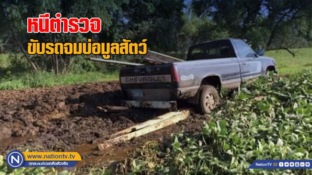 ฉาวโฉ่แน่! โจรอเมริกันหนีตำรวจขับรถจมบ่อมูลสัตว์
