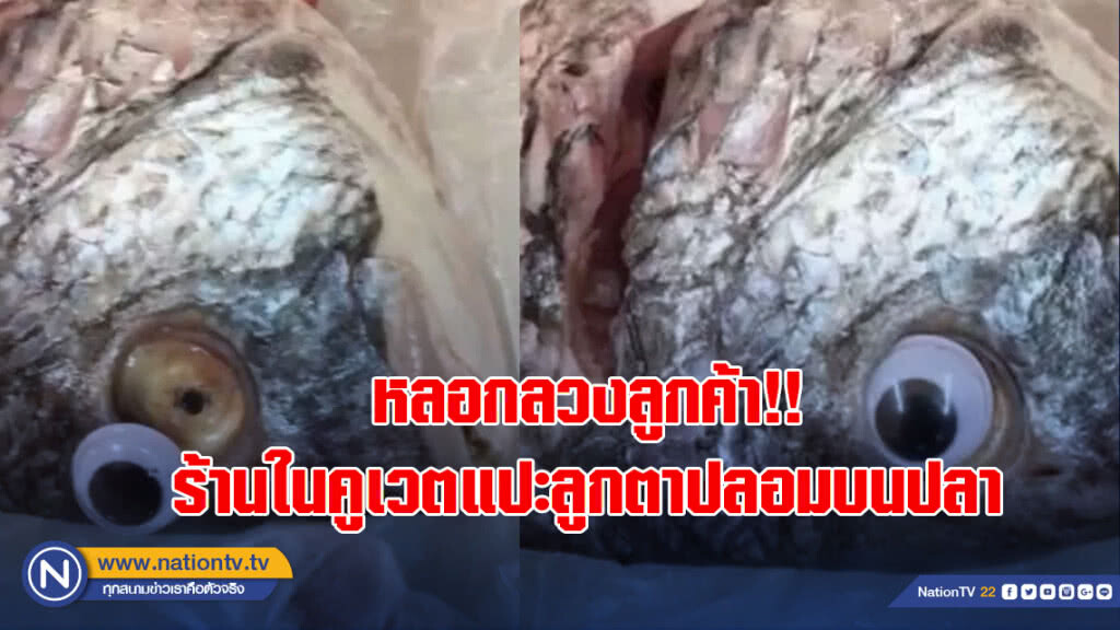 หลอกลวงลูกค้า!! ร้านในคูเวตแปะลูกตาปลอมบนปลาเพื่อให้ดูสด หลอกลวงลูกค้า!! ร้านในคูเวตแปะลูกตาปลอมบนปลาเพื่อให้ดูสด