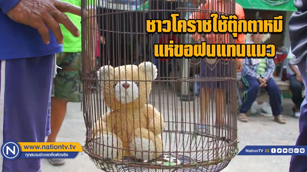 ชาวโคราชใช้ตุ๊กตาหมี....แห่ขอฝนแทนแมว ชาวโคราชใช้ตุ๊กตาหมี....แห่ขอฝนแทนแมว