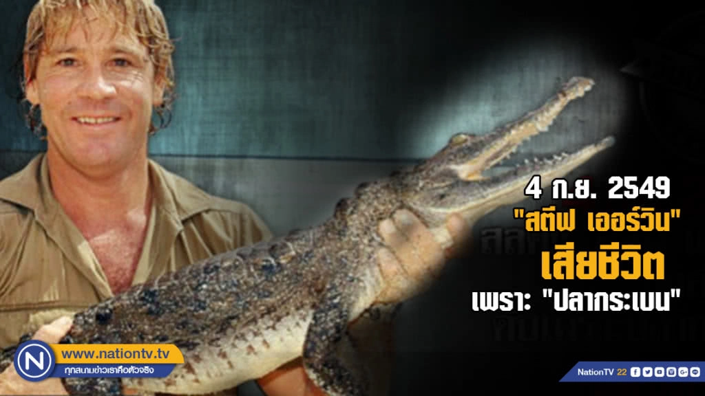 ข่าวดังในอดีต! สลด "สตีฟ เออร์วิน"  นักล่าจระเข้ชื่อดังโดนหางปลากระเบนแทงทะลุหัวใจดับ
