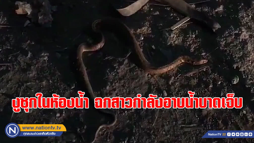 (คลิป) ภัยใกล้ตัว!!! งูซุกในห้องน้ำ ฉกสาวกำลังอาบน้ำบาดเจ็บ (คลิป) ภัยใกล้ตัว!!! งูซุกในห้องน้ำ ฉกสาวกำลังอาบน้ำบาดเจ็บ