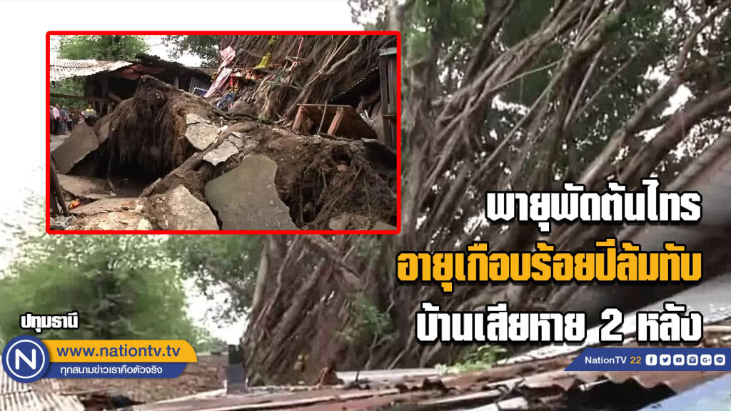 ลมพายุพัดต้นไทรอายุเกือบร้อยปีล้มทับบ้านเสียหาย2หลัง ลมพายุพัดต้นไทรอายุเกือบร้อยปีล้มทับบ้านเสียหาย2หลัง