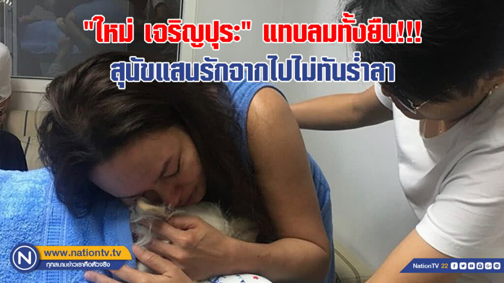 (คลิป) "ใหม่ เจริญปุระ" แทบลมทั้งยืน!!! สุนัขแสนรักจากไปไม่ทันร่ำลา