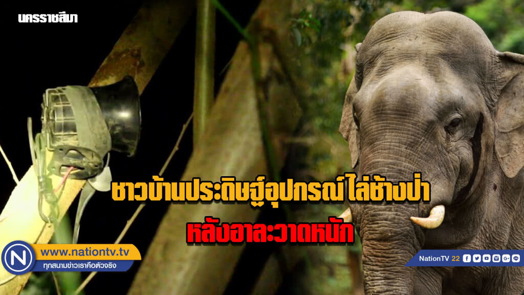 ชาวบ้านประดิษฐ์อุปกรณ์ไล่ช้างป่า...หลังอาละวาดหนัก ชาวบ้านประดิษฐ์อุปกรณ์ไล่ช้างป่า...หลังอาละวาดหนัก