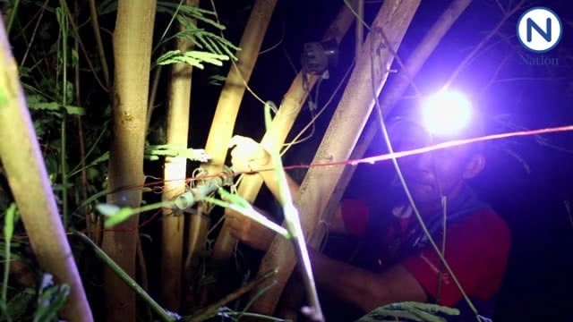 ชาวบ้านประดิษฐ์อุปกรณ์ไล่ช้างป่า...หลังอาละวาดหนัก