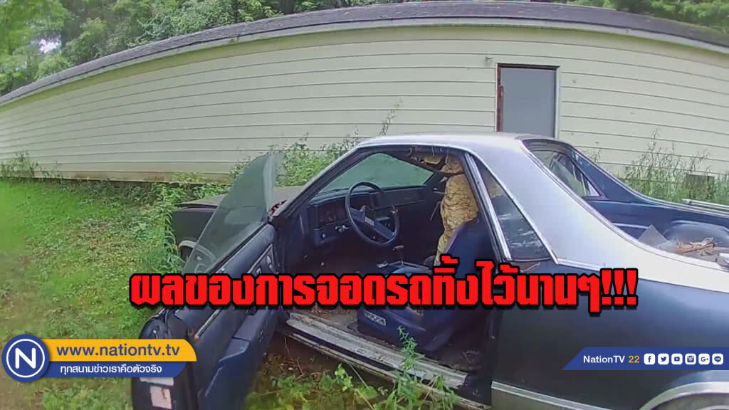 จอดรถทิ้งไว้นาน...จนผึ้งเข้ามาสร้างรังจนใหญ่คับรถ จอดรถทิ้งไว้นาน...จนผึ้งเข้ามาสร้างรังจนใหญ่คับรถ