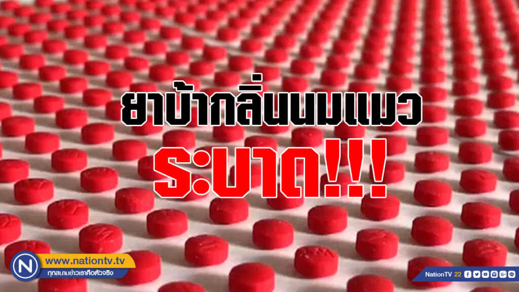 ยาบ้ากลิ่นนมแมว ระบาด!!! หวั่นล่อลวงเยาวชนง่ายขึ้น(คลิป)