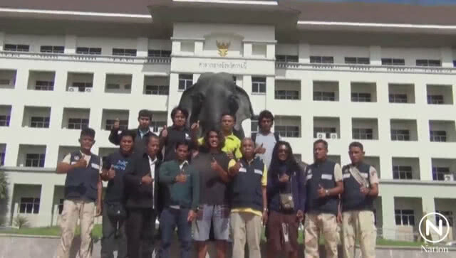 ทีมปีนผาอ่าวไร่เลย์ ช่วย 13 หมูป่า เดินทางร่วมงานเลี้ยงขอบคุณ