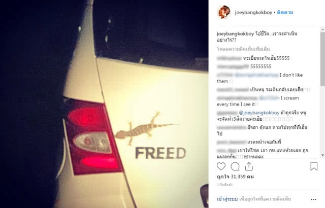 "ตุ๊กแก" เกาะรถ "โจอี้ บอย" แฟนคลับแห่ถามเลขทะเบียน นักร้องดังจัดให้