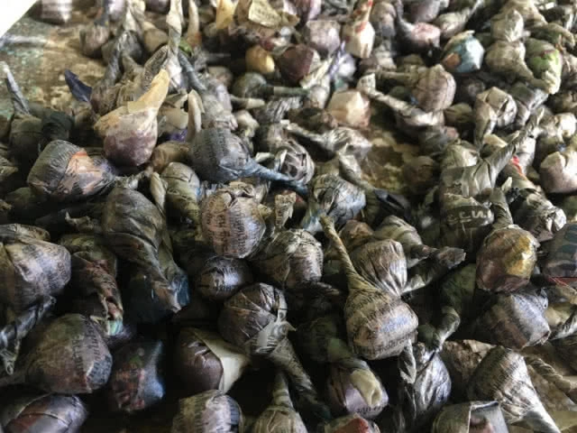 สุดเจ๋ง!! ผลิต"ขี้ไต้" เชื้อเพลิงอย่างดี รายได้งาม