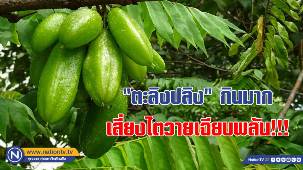 รู้หรือไม่??? "ตะลิงปลิง" กินมาก เสี่ยงไตวายเฉียบพลัน!!! รู้หรือไม่??? "ตะลิงปลิง" กินมาก เสี่ยงไตวายเฉียบพลัน!!!