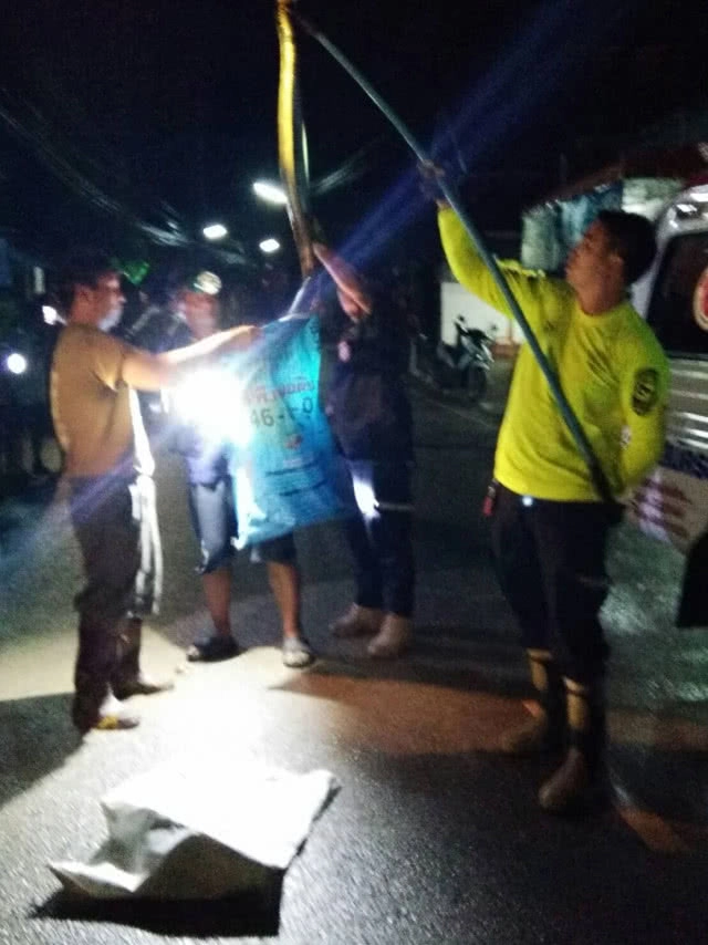 ตื่น!! งูจงอางยาว 4ม. นอนขดตัวข้างร้านขายของชำ