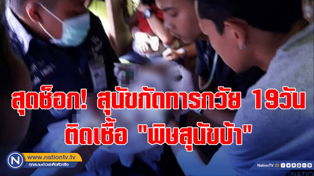 สุดช็อก! สุนัขกัดทารกวัย 19วัน ติดเชื้อ"พิษสุนัขบ้า"