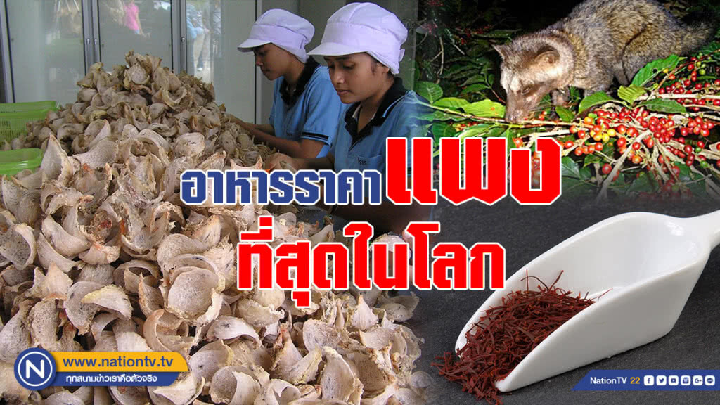 "รังนกไทย-หญ้าฝรั่น-กาแฟขี้ชะมด" ติดกลุ่มอาหารราคาแพงสุดในโลก