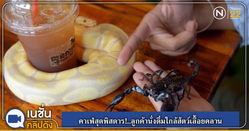 (คลิปข่าว) คาเฟ่สุดพิสดาร!..ลูกค้านั่งดื่มใกล้สัตว์เลื้อยคลาน (คลิปข่าว) คาเฟ่สุดพิสดาร!..ลูกค้านั่งดื่มใกล้สัตว์เลื้อยคลาน