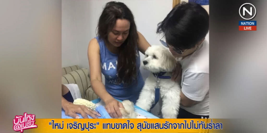 (คลิปข่าว) "ใหม่ เจริญปุระ" แทบขาดใจ สุนัขแสนรักจากไปไม่ทันร่ำลา (คลิปข่าว) "ใหม่ เจริญปุระ" แทบขาดใจ สุนัขแสนรักจากไปไม่ทันร่ำลา