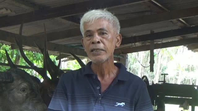 (คลิป) สุดยอดไอเดีย! นำเศษกระดาษเหลือใช้มา "ปั้นหัววัว"