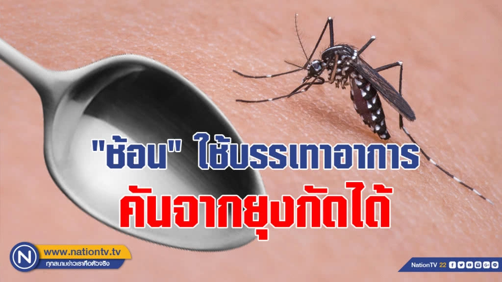 รู้หรือไม่??? "ช้อน" ใช้บรรเทาอาการคันจากยุงกัดได้ (คลิป)
