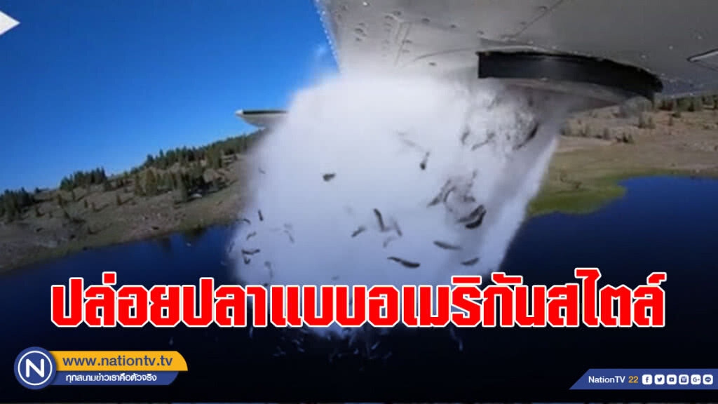 ปล่อยปลาแบบอเมริกัน ในทะเลสาบที่อยู่ห่างไกล - ใช้โปรยจากเครื่องบินมันง่ายกว่า