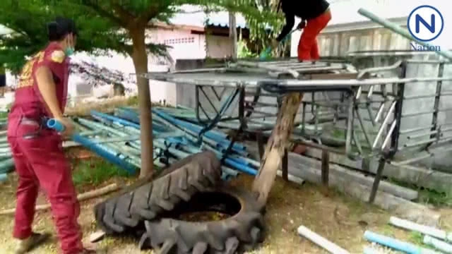 (คลิป) งูจงอาง 3 เมตรเข้าบ้าน...กู้ภัยไล่จับจนเหงื่อตก