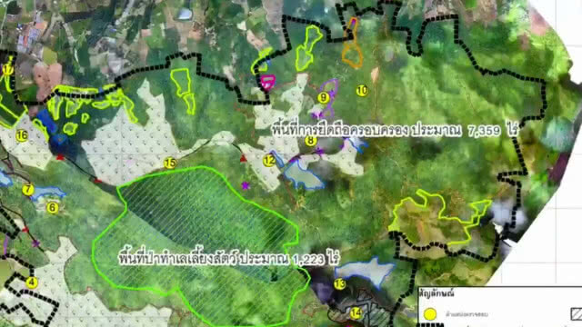 ตำรวจจ่อชง "ซีพีเคฯ" รุกป่าจ.เลย4คดีเป็นคดีพิเศษ