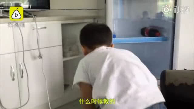 (คลิป) เจ้าหนู 6 ขวบมุดลงใต้ตู้ทันตอนเกิดแผ่นดินไหว