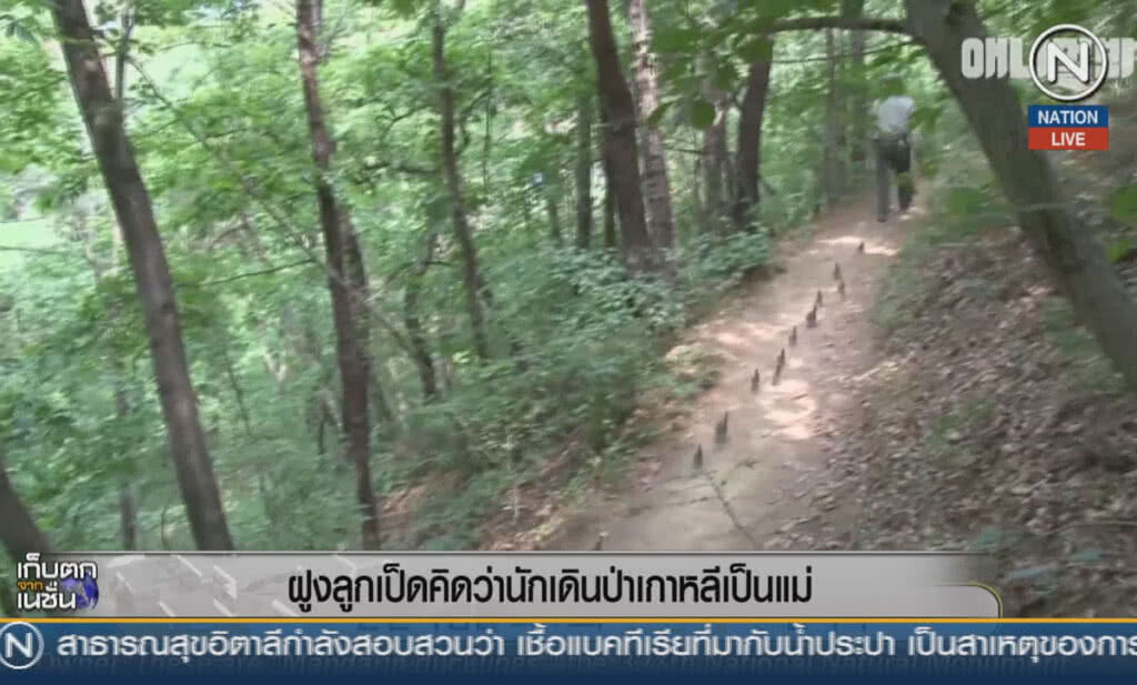 (คลิปข่าว) ฝูงลูกเป็ดคิดว่านักเดินป่าเกาหลีเป็นแม่ (คลิปข่าว) ฝูงลูกเป็ดคิดว่านักเดินป่าเกาหลีเป็นแม่