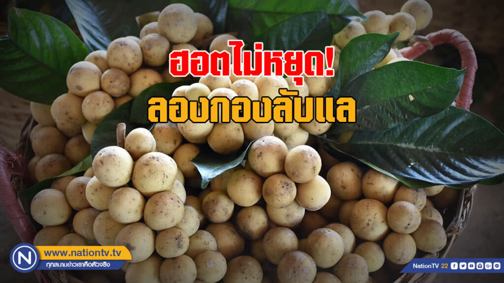 ฮอตไม่หยุด! ลองกองลับแล รับซื้อเงินสะพัดวันละ 10 ล้านบาท
