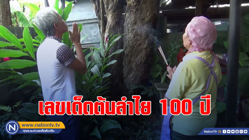 ขอโชค-เลขเด็กต้นลำไย100ปี