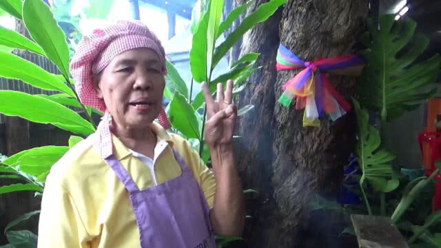 ขอโชค-เลขเด็กต้นลำไย100ปี