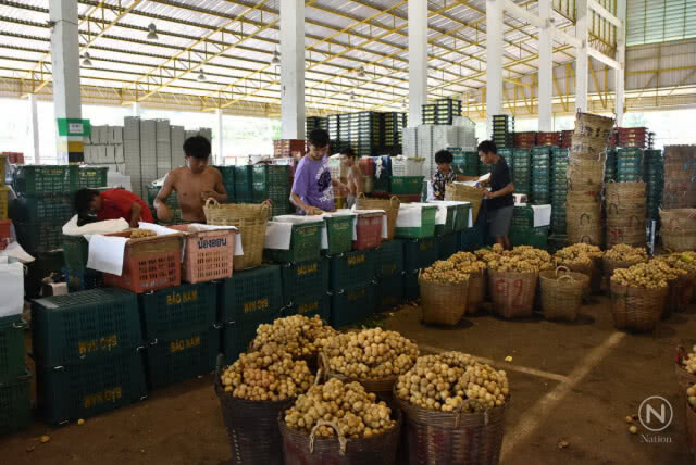 ฮอตไม่หยุด! ลองกองลับแล รับซื้อเงินสะพัดวันละ 10 ล้านบาท