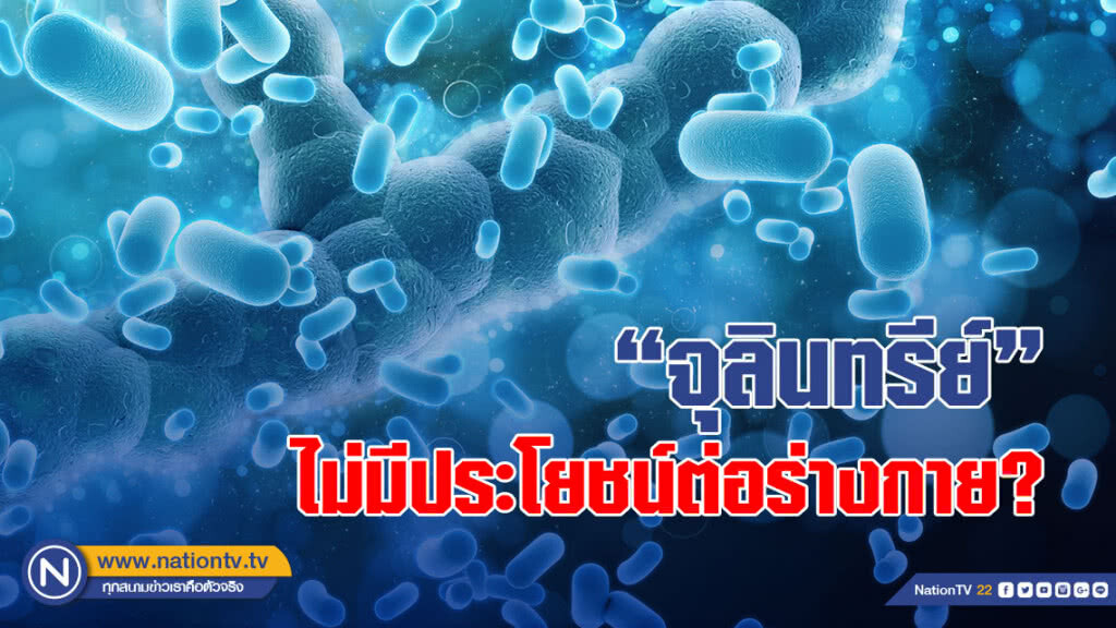 เข้าใจกันมาผิดโดยตลอด? วิจัยเผยจุลินทรีย์ในนมเปรี้ยวไม่ได้เป็นคุณต่อร่างกาย
