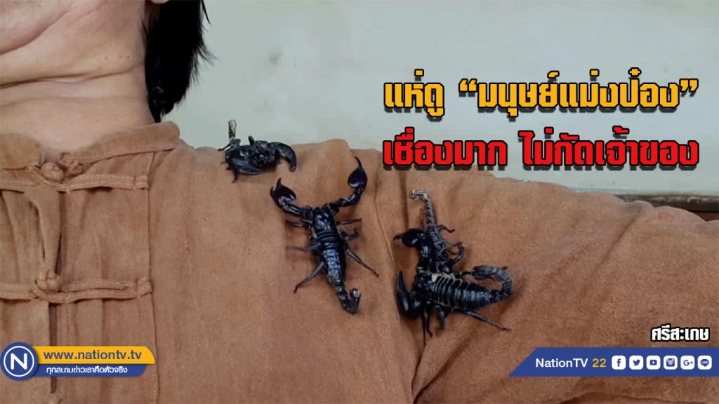 ฮิอฮา! ชาวบ้านแห่ดู มนุษย์แมงป่อง สุดเชื่องไม่กัดเจ้าของ