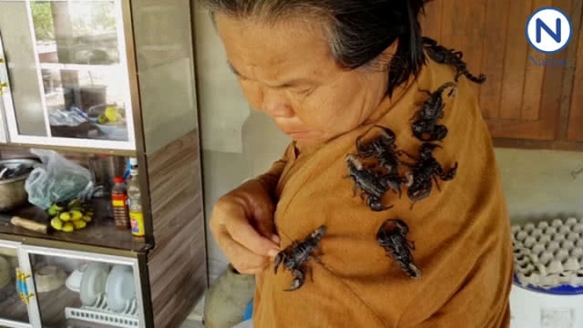 ฮิอฮา! ชาวบ้านแห่ดู มนุษย์แมงป่อง สุดเชื่องไม่กัดเจ้าของ