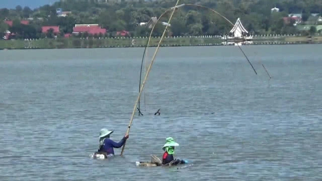 ชาวบ้านยกยอ-ทอดแห หาปลาในกว๊านพะเยา สร้างรายได้งาม