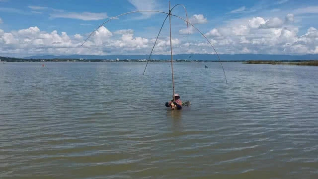 ชาวบ้านยกยอ-ทอดแห หาปลาในกว๊านพะเยา สร้างรายได้งาม