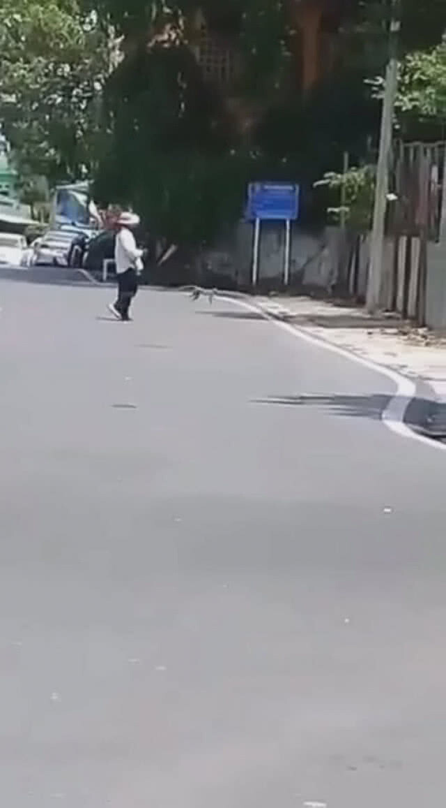 (คลิป) สนั่นโลกโซเชียลยิงลิงเจ็บ! เจ้าของหนังสติ๊กแจงไม่มีลูกกระสุน
