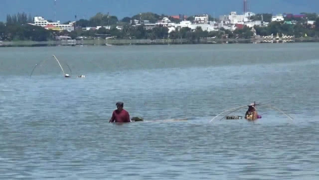 ชาวบ้านยกยอ-ทอดแห หาปลาในกว๊านพะเยา สร้างรายได้งาม