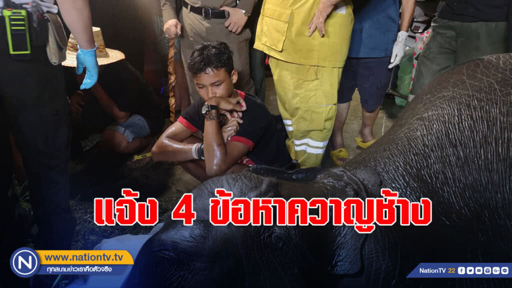 แจ้ง 4 ข้อหาควาญช้าง พร้อมส่ง "พลายนำโชค" กลับไปสุรินทร์