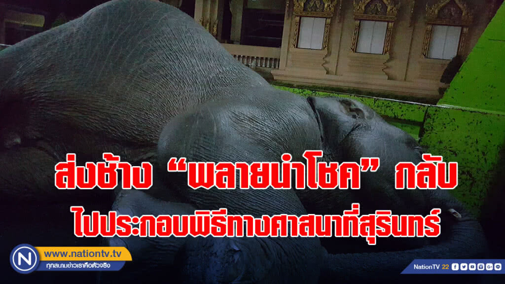 ส่งช้าง "พลายนำโชค" กลับไปประกอบพิธีทางศาสนาที่สุรินทร์