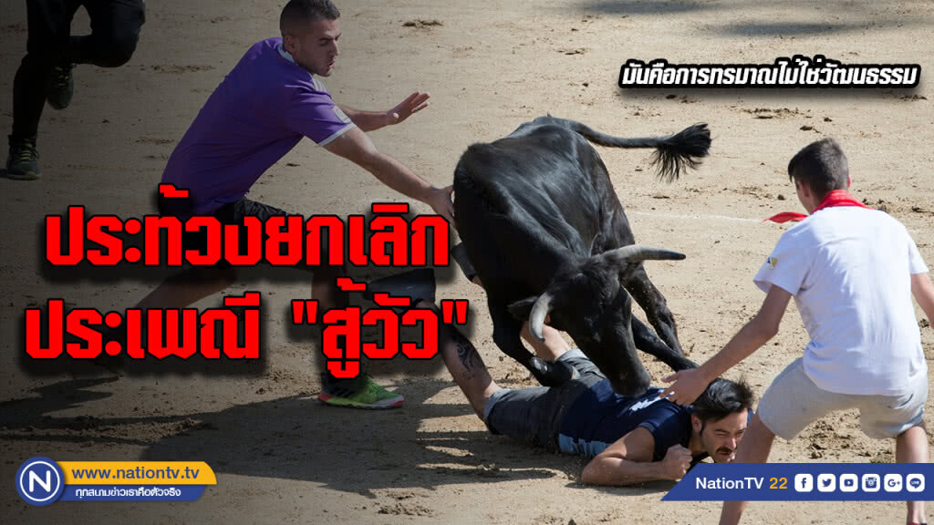 ประชาชนสเปนชุมนุมประท้วง เลิกประเพณี "สู้วัว"