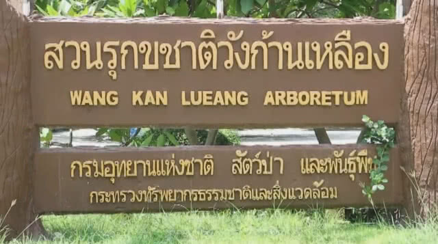 อันตราย!!! เตือนห้ามลงเล่นน้ำตก "วังก้านเหลือง" ที่ลพบุรีหลังน้ำป่าถล่ม (ชมคลิปเต็มด้านล่าง)
