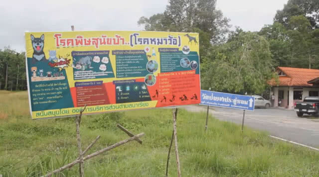สาธารณสุข-ปศุสัตว์นครศรีฯ แถลงยันไร้คนติดเชื้อหมาบ้า พร้อมหาตัวคนปล่อยข่าวเพื่อดำเนินคดี
