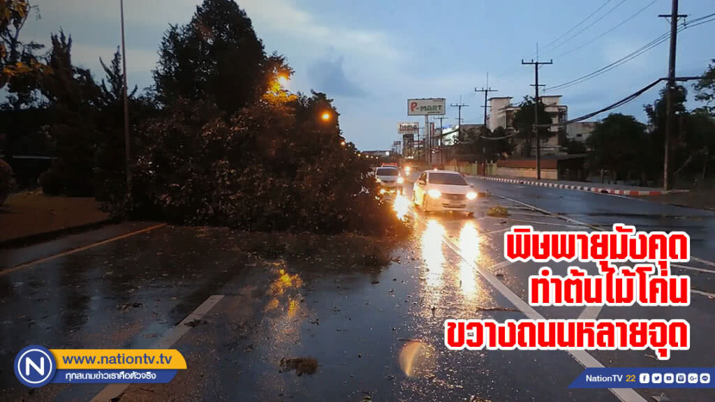พิษพายุมังคุดทำต้นไม้โค่นขวางถนนหลายจุด พิษพายุมังคุดทำต้นไม้โค่นขวางถนนหลายจุด