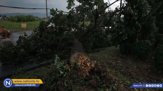 พิษพายุมังคุดทำต้นไม้โค่นขวางถนนหลายจุด