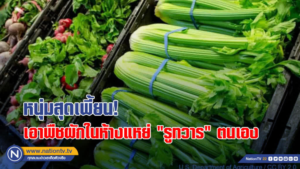 น่าจะเพี้ยน! ตำรวจจับหนุ่มอเมริกันเอาพืชผักในห้างแหย่ "รูทวาร" ตนเอง จนต้องทำลายทิ้งไปหลายหีบ น่าจะเพี้ยน! ตำรวจจับหนุ่มอเมริกันเอาพืชผักในห้างแหย่ "รูทวาร" ตนเอง จนต้องทำลายทิ้งไปหลายหีบ