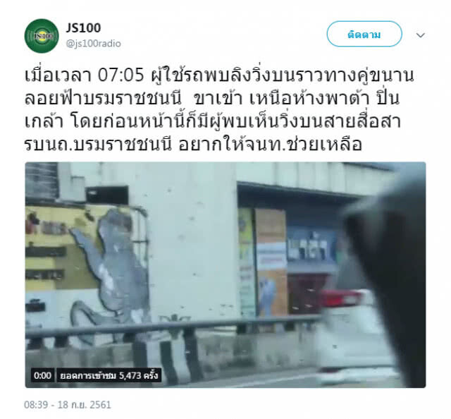 (คลิป) ผงะ! พบ "เจ้าจ๋อ" วิ่งบนสะพานลอยฟ้า